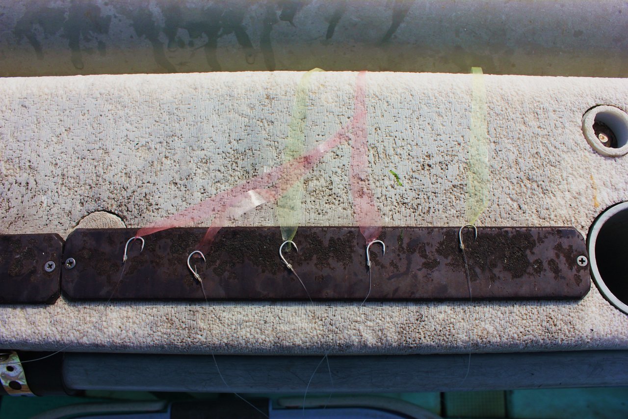 ビニール疑餌の写真