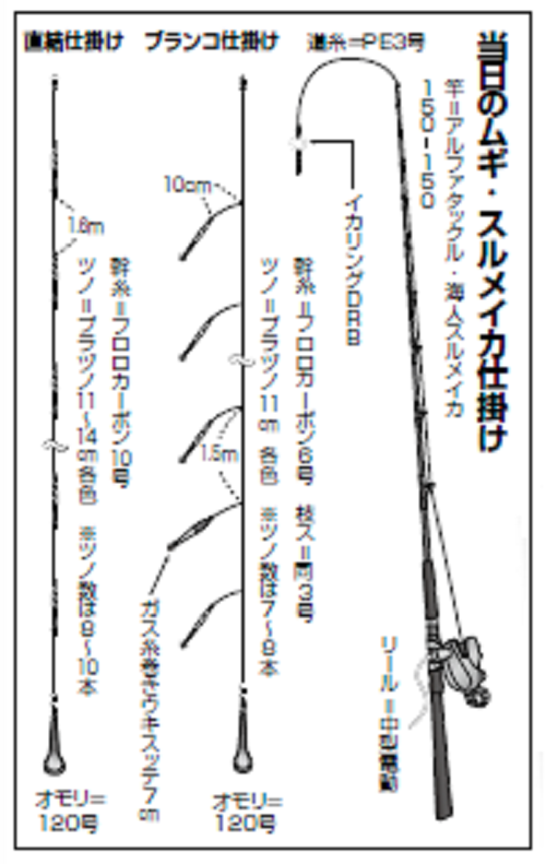 パワフルな乗りにシビれる 相模湾のスルメイカ上昇気配