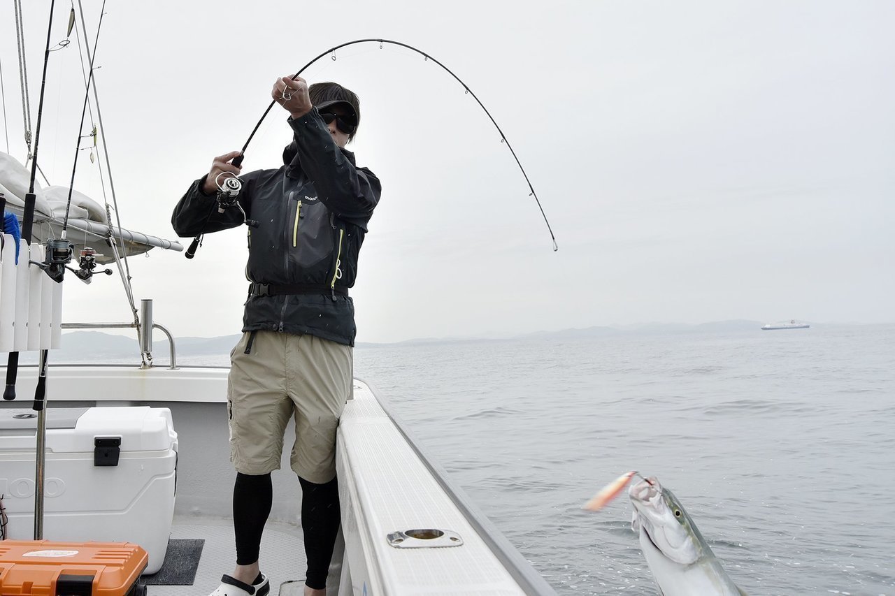 エボルブの写真