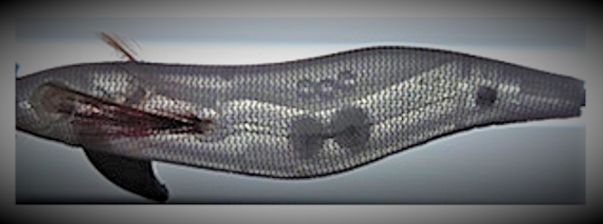 エギのアップ写真