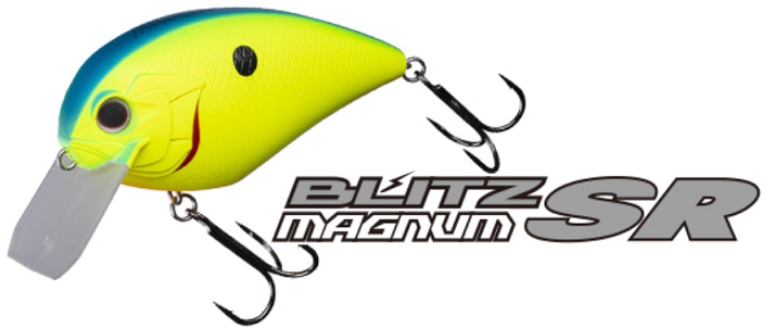 ルアーのアップ写真