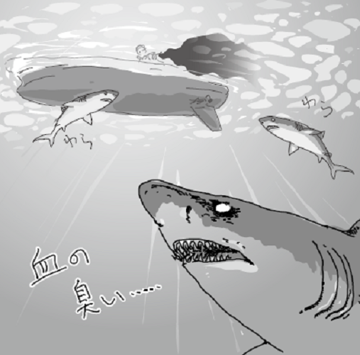 サメの図