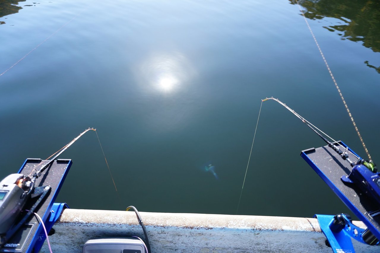 ワカサギ用電動リールの写真