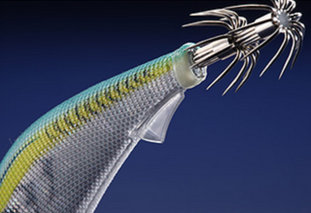 エギのアップ写真