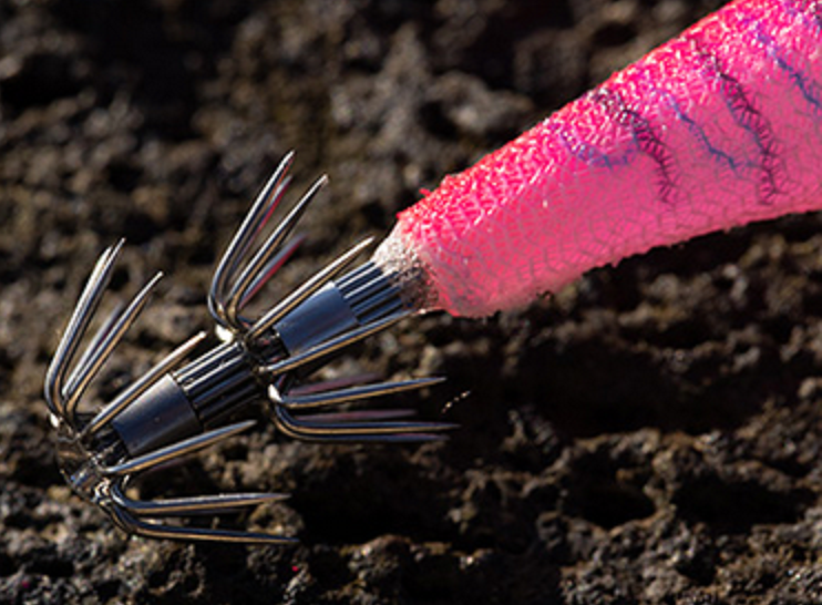 エギのアップ写真