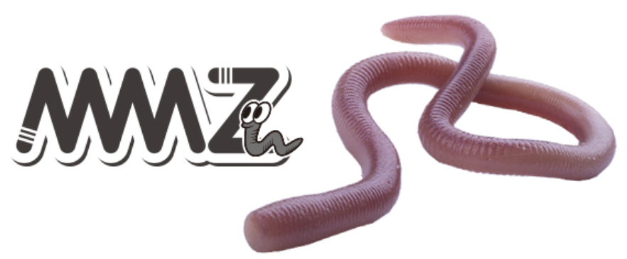 ワームのアップ写真