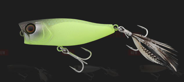 ルアーのアップ写真