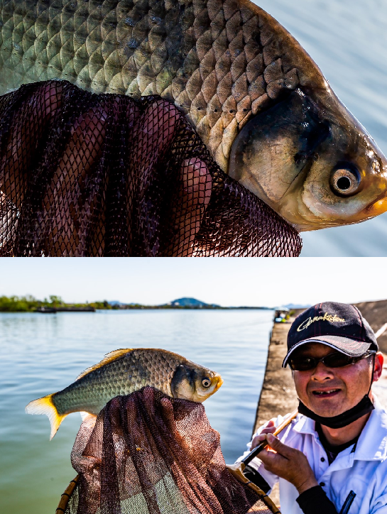 釣行の写真