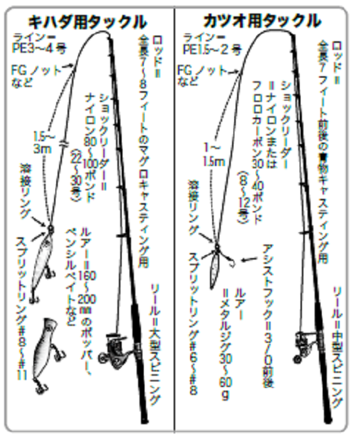 青物キャスティング マグロ キャスティングマグロ キハダマグロ ...