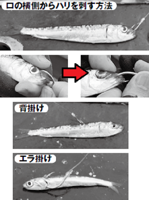 tpc11726-39.png
