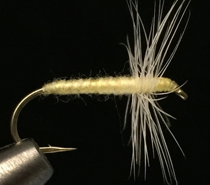 テンカラのアップ写真