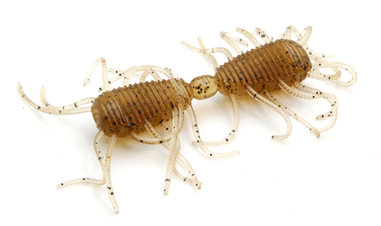 ワームのアップ写真