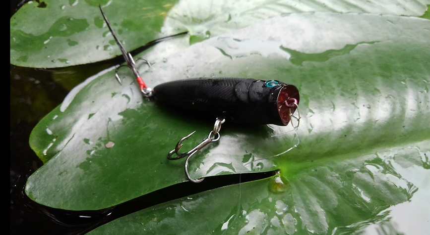 ルアーのアップ写真