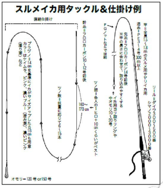 スルメイカ 仕掛け