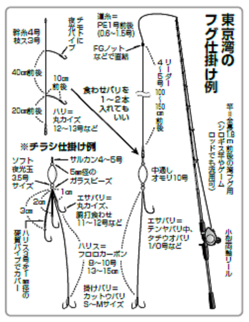 チャレンジ！湾フグ