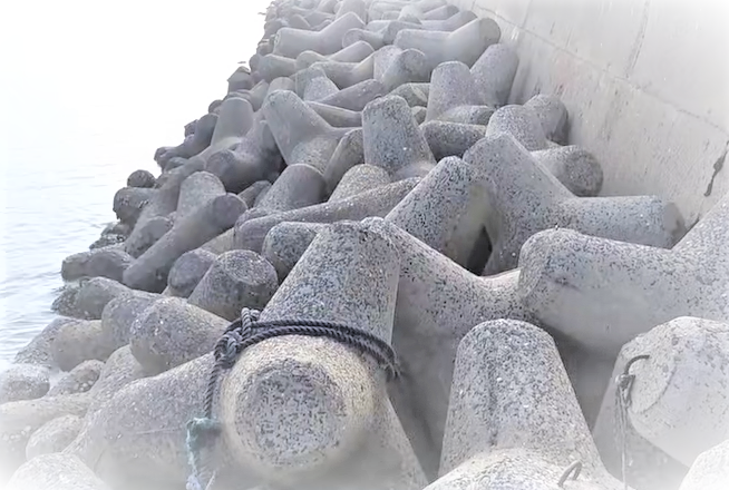 テトラの遠景写真