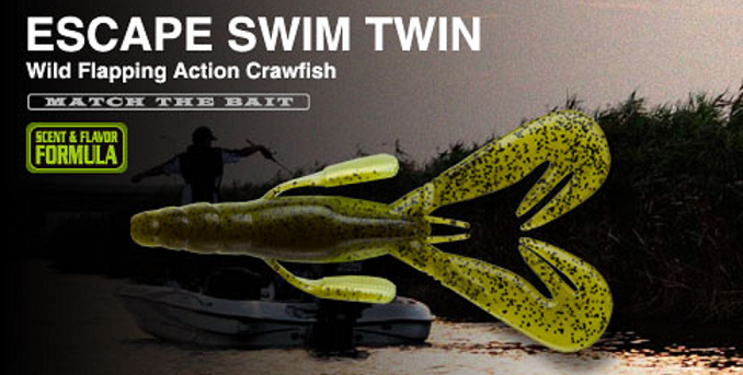 ワームのアップ写真