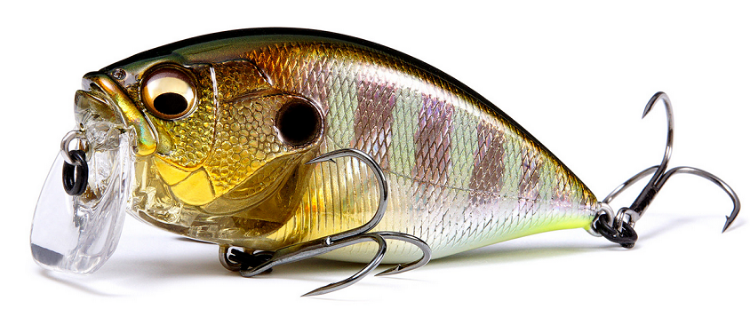 ルアーのアップ写真