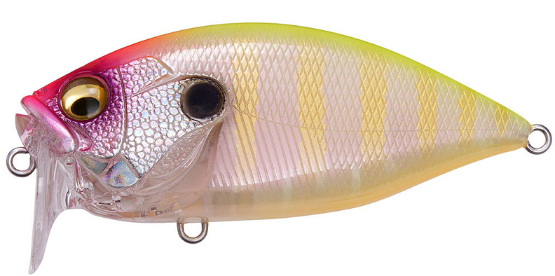 ルアーのアップ写真