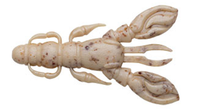 ワームのアップ写真