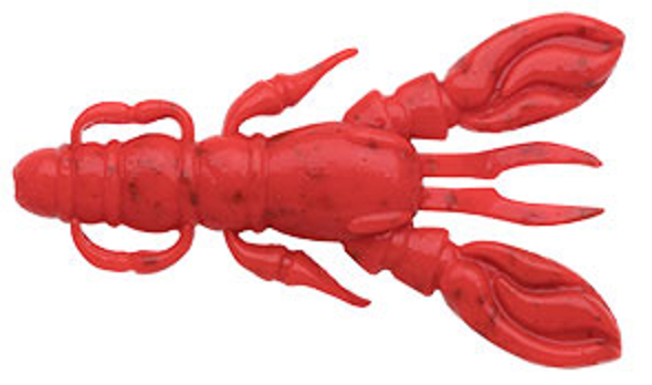 ワームのアップ写真