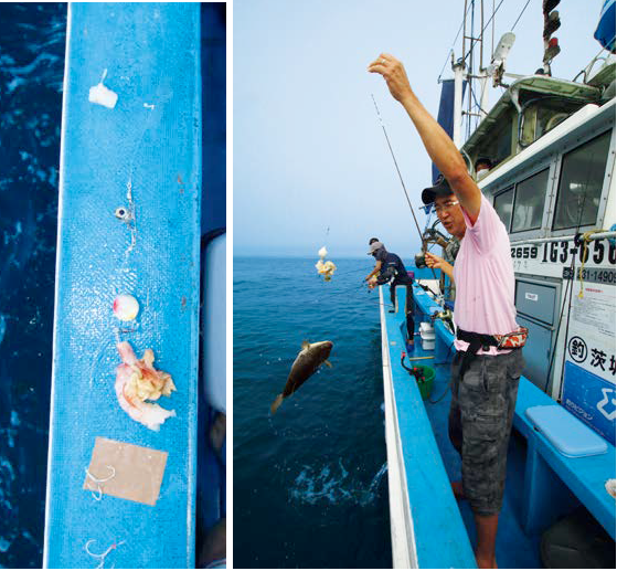 釣行の写真