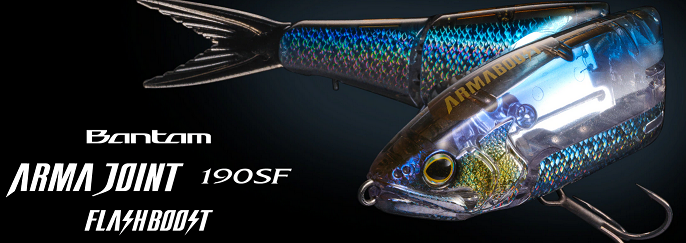 ルアーのアップ写真