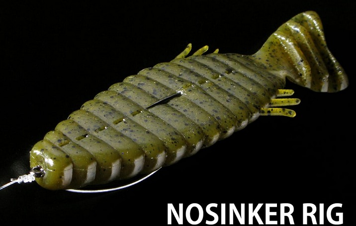 ワームのアップ写真