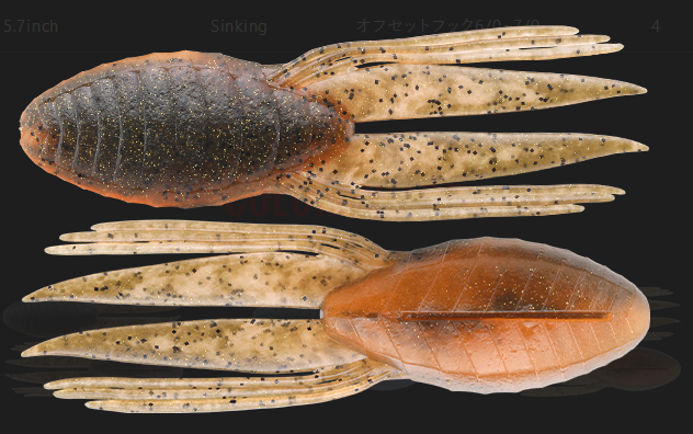 ワームのアップ写真