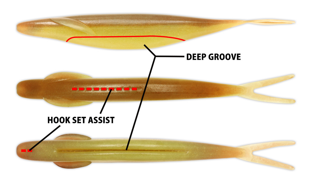 ワームのアップ写真