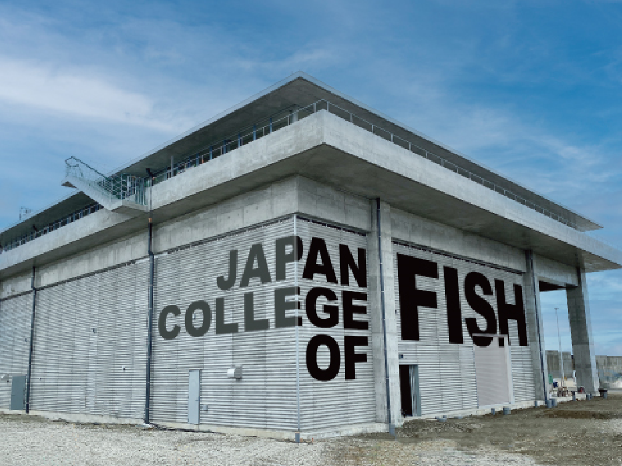 日本さかな専門学校