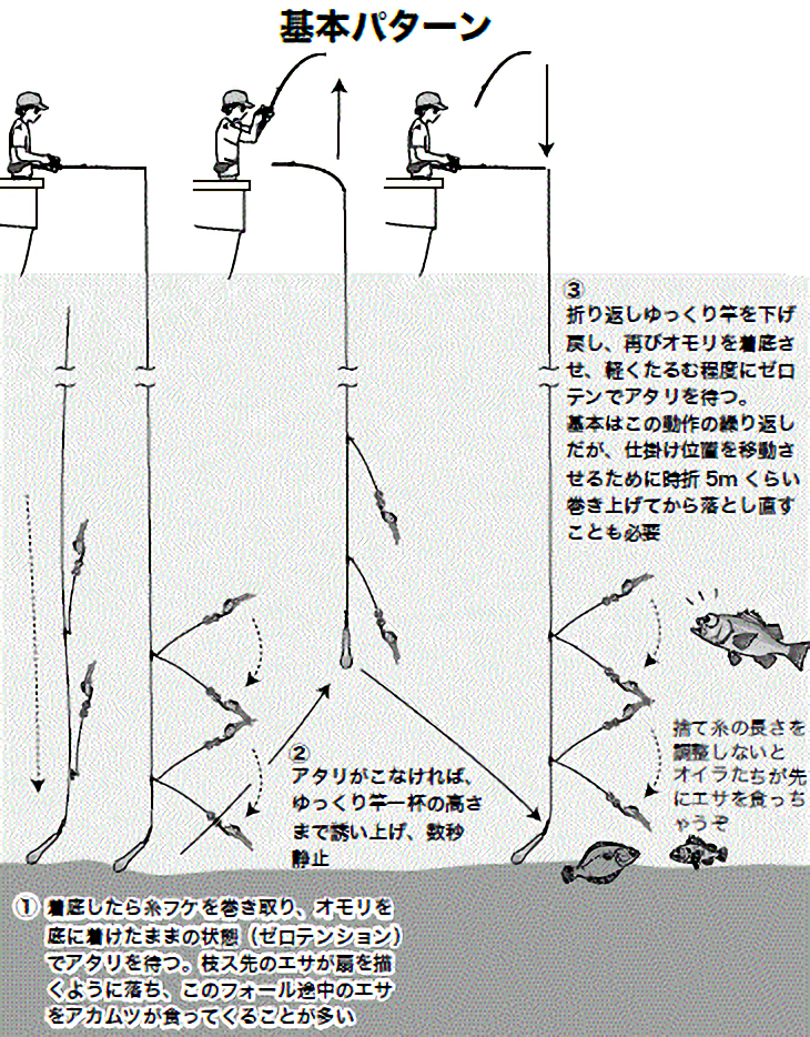 いよいよトップシーズン カンネコのアカムツ