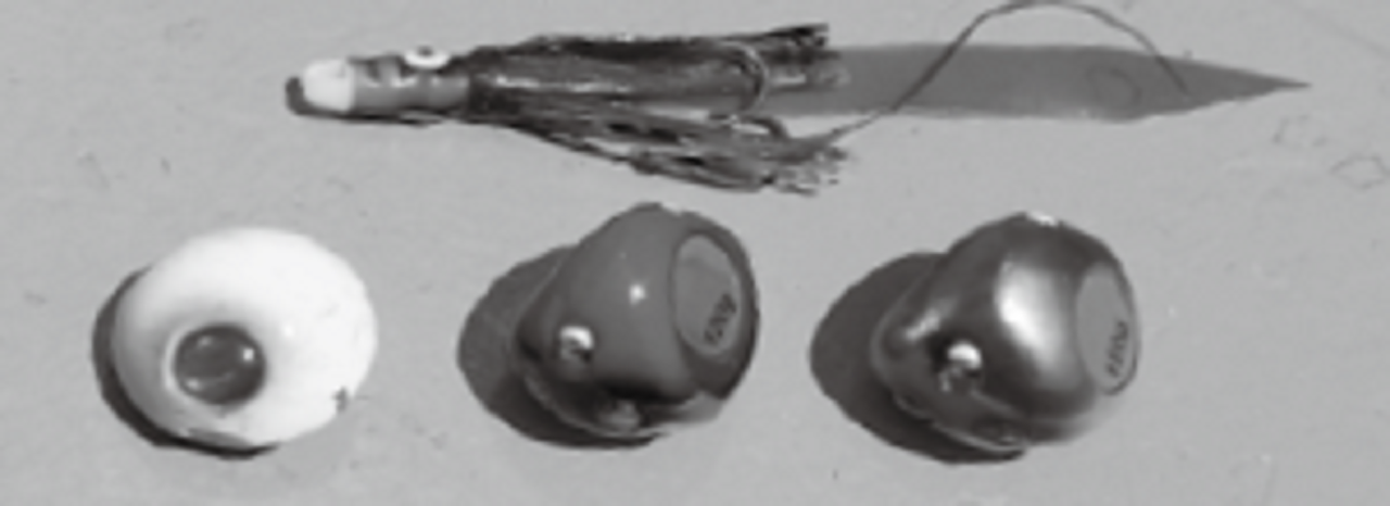 タイラバの写真