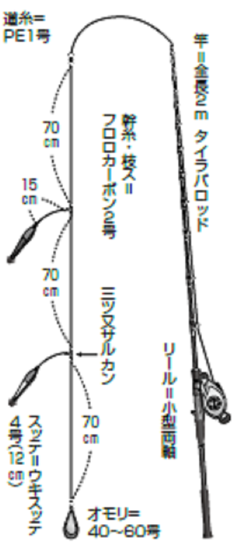 夜焚きアカイカ開幕 数釣りは手返しが肝心