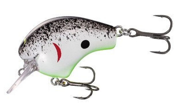 ルアーのアップ写真