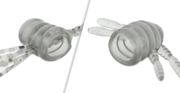 ワームのアップ写真