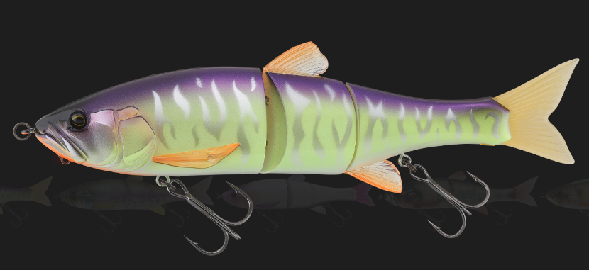 ルアーのアップ写真