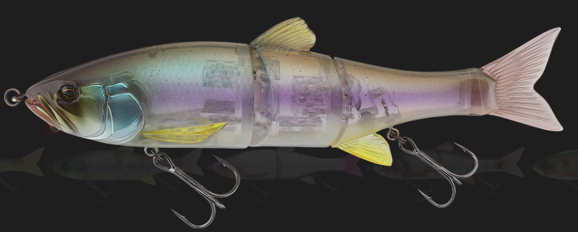 ルアーのアップ写真