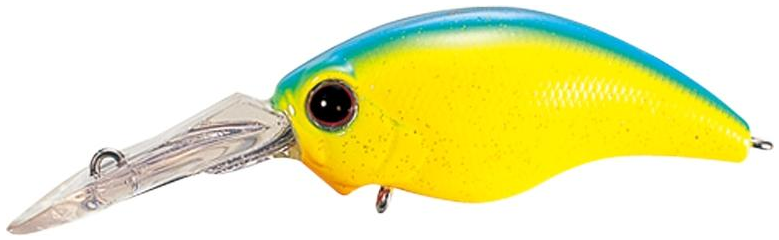 ルアーのアップ写真