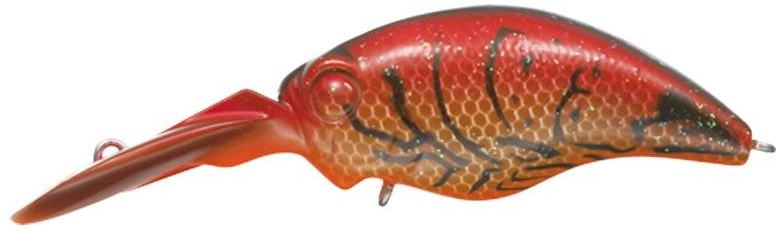 ルアーのアップ写真