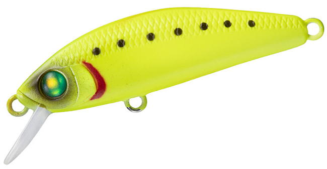 ルアーのアップ写真