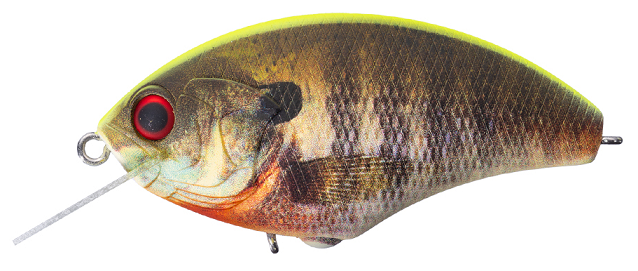 ルアーのアップ写真