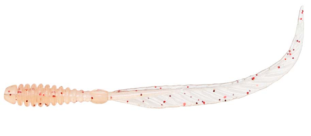 ワームのアップ写真