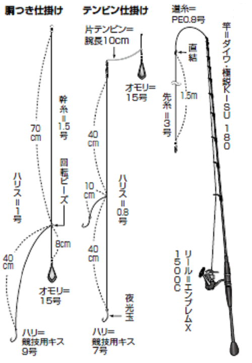 良型主体で引き味満点 秋の行楽釣行にシロギスはいかが