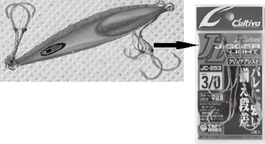 ジグの写真