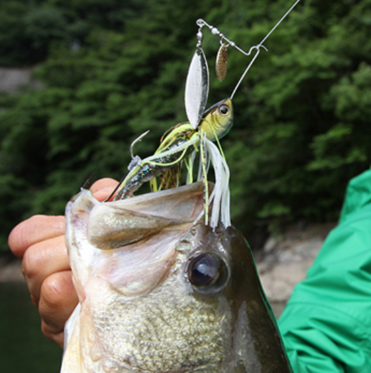 ルアーのアップ写真