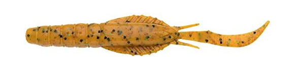 ワームのアップ写真