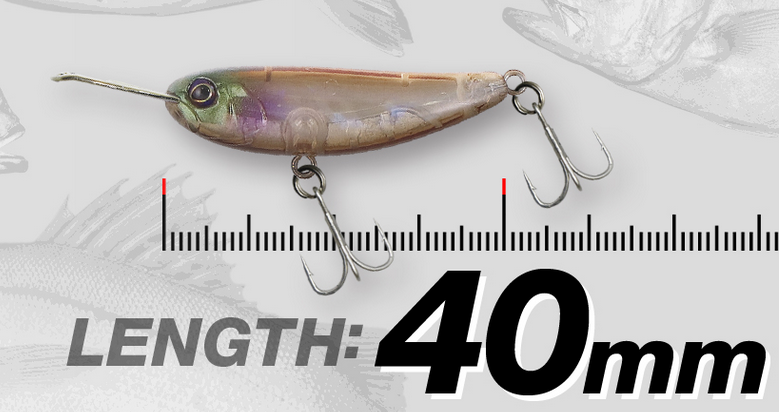 ルアーのアップ写真