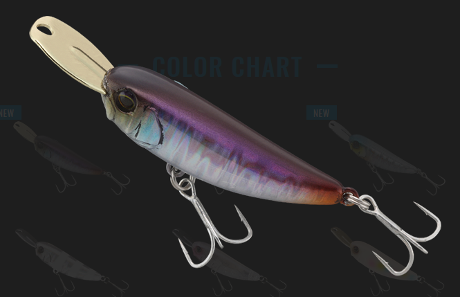 ルアーのアップ写真