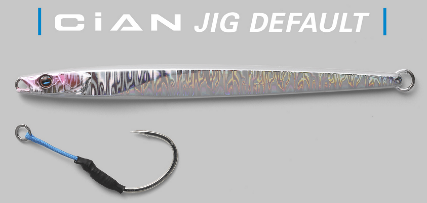 ジグのアップ写真